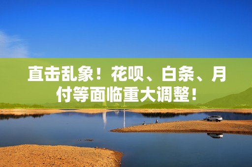 直击乱象！花呗、白条、月付等面临重大调整！
