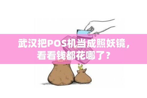 武汉把POS机当成照妖镜,看看钱都花哪了? 武汉把POS机当成照妖镜,看看钱都花哪了?