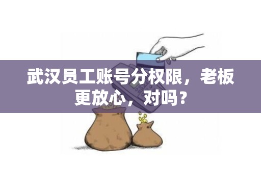 武汉员工账号分权限,老板更放心,对吗? 武汉员工账号分权限,老板更放心,对吗?