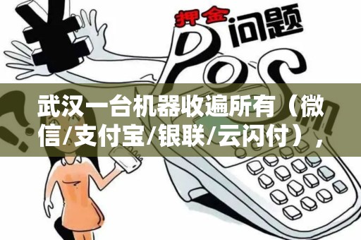武汉一台机器收遍所有（微信/支付宝/银联/云闪付），香不香？