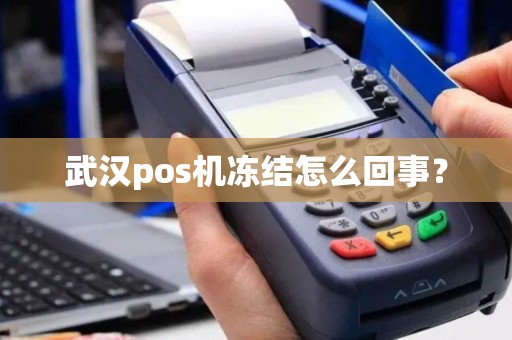 武汉pos机冻结怎么回事？