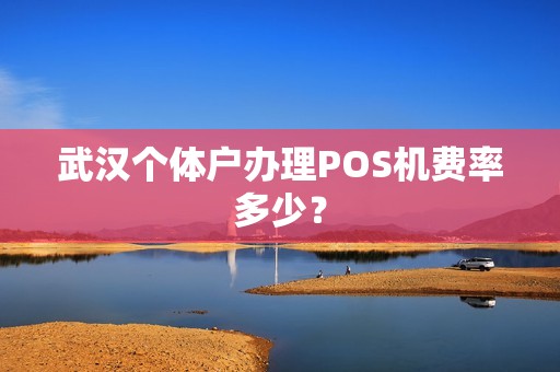 武汉个体户办理POS机费率多少？