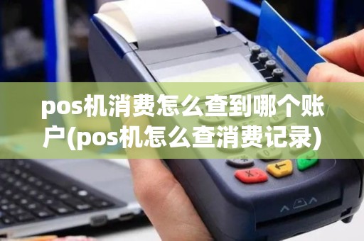 pos机消费怎么查到哪个账户(pos机怎么查消费记录)