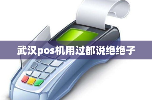 武汉pos机用过都说绝绝子