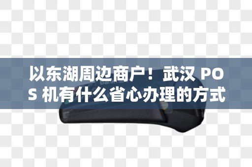 以东湖周边商户！武汉 POS 机有什么省心办理的方式？