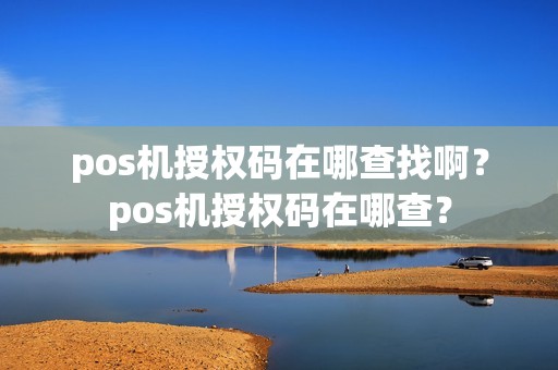 pos机授权码在哪查找啊？pos机授权码在哪查？