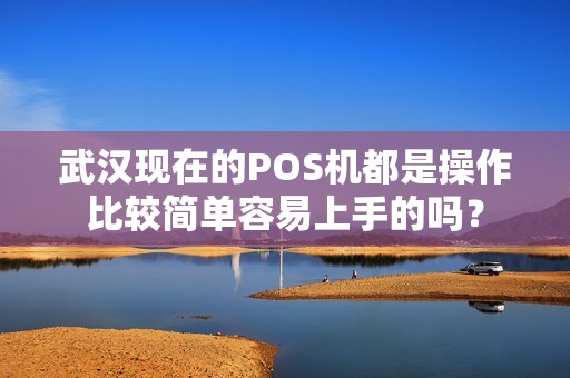 武汉现在的POS机都是操作比较简单容易上手的吗？