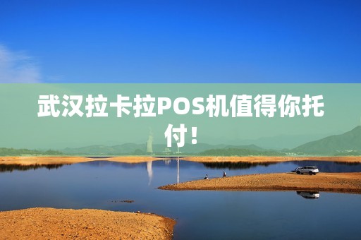 武汉拉卡拉POS机值得你托付!