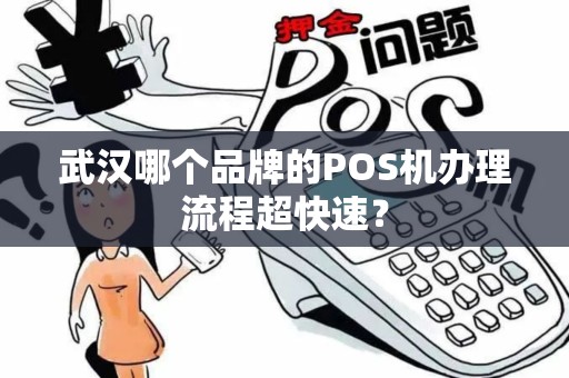 武汉哪个品牌的POS机办理流程超快速？