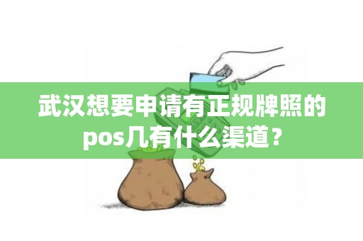 武汉想要申请有正规牌照的pos几有什么渠道？