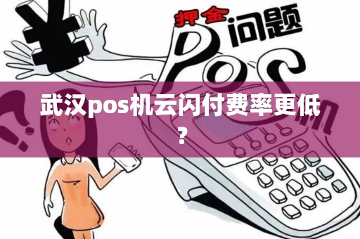 武汉pos机云闪付费率更低？