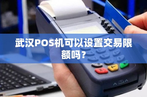 武汉POS机可以设置交易限额吗? 武汉POS机可以设置交易限额吗?