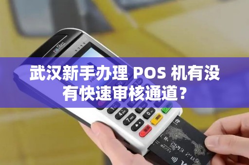 武汉新手办理 POS 机有没有快速审核通道？
