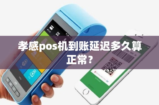 孝感pos机到账延迟多久算正常? 孝感pos机到账延迟多久算正常?