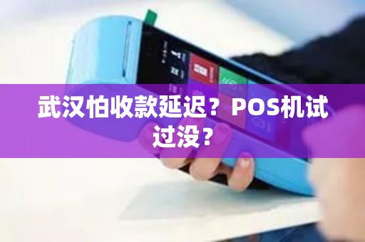 武汉怕收款延迟?POS机试过没? 武汉怕收款延迟?POS机试过没?