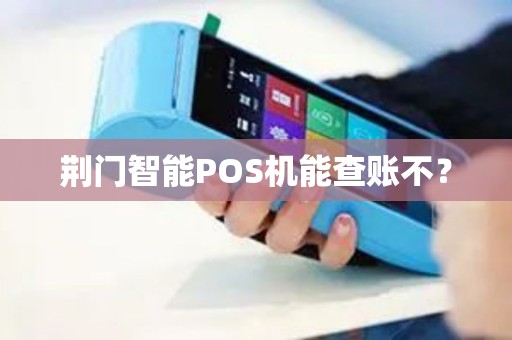 荆门智能POS机能查账不? 荆门智能POS机能查账不?