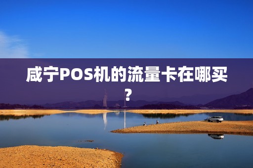咸宁POS机的流量卡在哪买? 咸宁POS机的流量卡在哪买?
