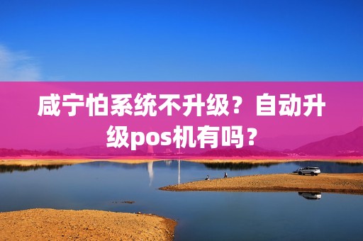 咸宁怕系统不升级？自动升级pos机有吗？