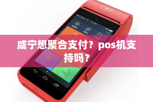 咸宁想聚合支付？pos机支持吗？