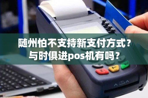 随州怕不支持新支付方式？与时俱进pos机有吗？