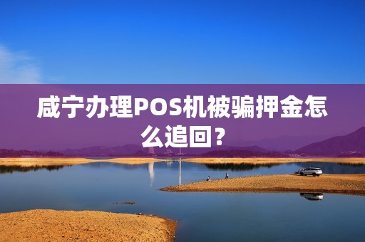咸宁办理POS机被骗押金怎么追回？