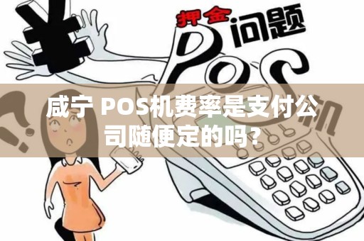 咸宁 POS机费率是支付公司随便定的吗？