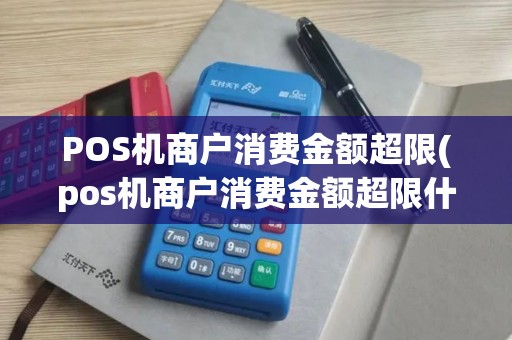 POS机商户消费金额超限(pos机商户消费金额超限什么意思)