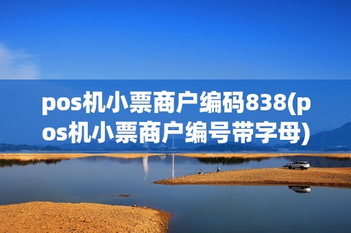 pos机小票商户编码838(pos机小票商户编号带字母)