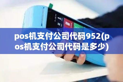 pos机支付公司代码952(pos机支付公司代码是多少)