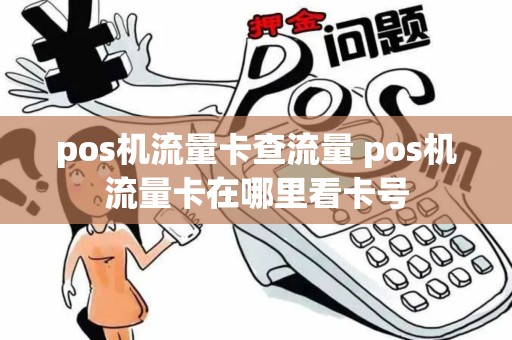 pos机流量卡查流量 pos机流量卡在哪里看卡号