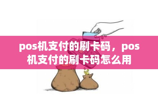 pos机支付的刷卡码，pos机支付的刷卡码怎么用
