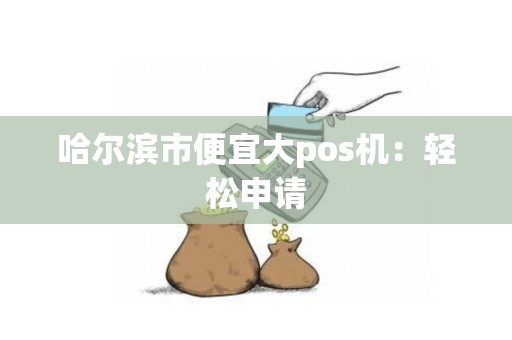 哈尔滨市便宜大pos机：轻松申请
