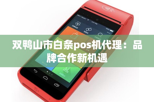 双鸭山市白条pos机代理：品牌合作新机遇