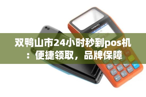 双鸭山市24小时秒到pos机：便捷领取，品牌保障