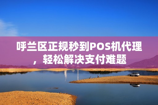 呼兰区正规秒到POS机代理，轻松解决支付难题