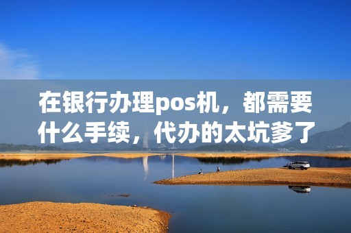 在银行办理pos机，都需要什么手续，代办的太坑爹了，不小心就被代办的把刷款的大额盗走，想