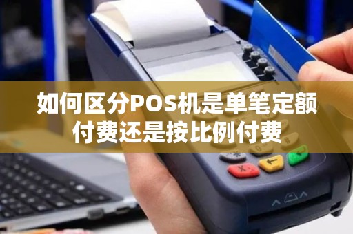 如何区分POS机是单笔定额付费还是按比例付费
