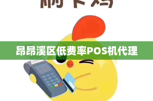 昂昂溪区低费率POS机代理