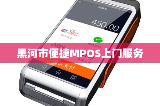 黑河市便捷MPOS上门服务