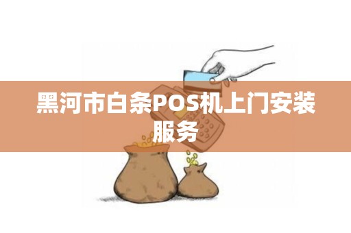 黑河市白条POS机上门安装服务