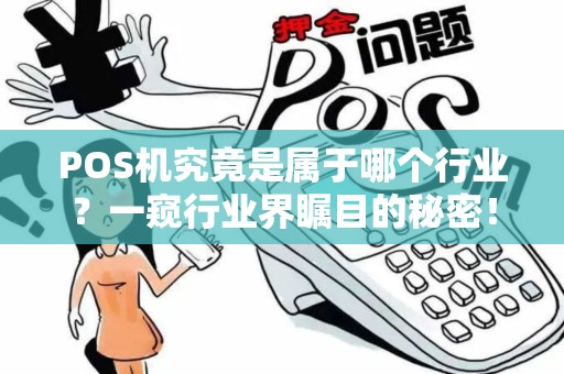 POS机究竟是属于哪个行业？一窥行业界瞩目的秘密！