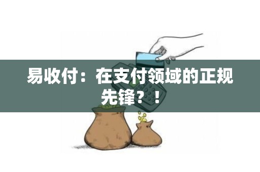 易收付：在支付领域的正规先锋？！
