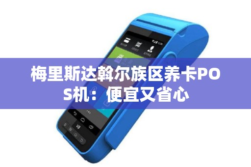 梅里斯达斡尔族区养卡POS机：便宜又省心