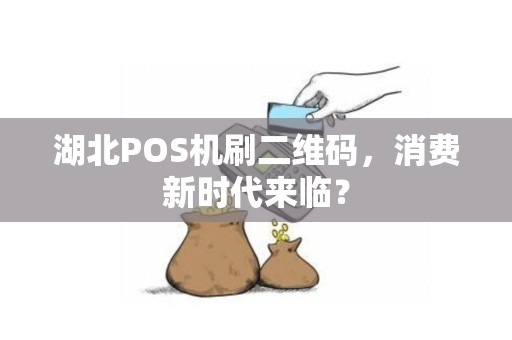 湖北POS机刷二维码，消费新时代来临？