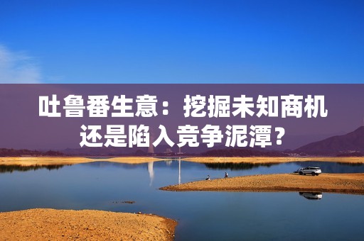 吐鲁番生意：挖掘未知商机还是陷入竞争泥潭？
