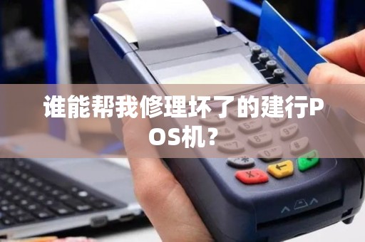 谁能帮我修理坏了的建行POS机？