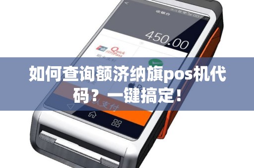 如何查询额济纳旗pos机代码？一键搞定！