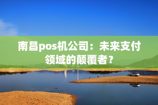 南昌pos机公司：未来支付领域的颠覆者？
