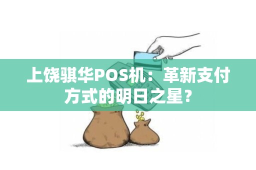 上饶骐华POS机：革新支付方式的明日之星？