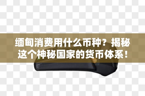 缅甸消费用什么币种？揭秘这个神秘国家的货币体系！